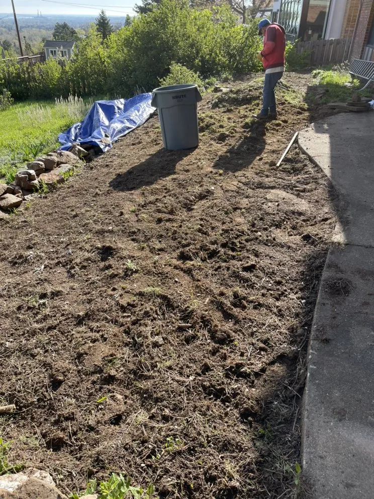 Professional landscape design for year-round maintenance in Boulder, CO by Martinez Landscape