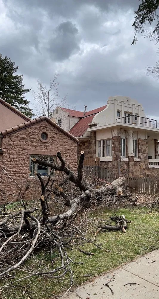 Professional landscaping services in Boulder, CO - Martinez Landscape