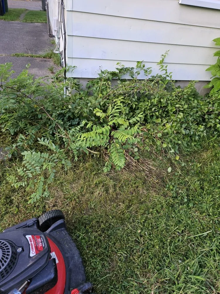 Professional lawn mowing service in Easthampton, MA by Martinez Landscape