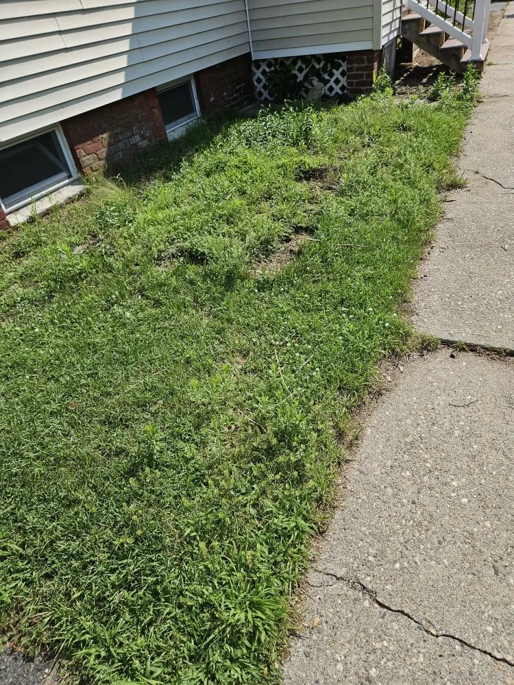 Custom residential landscaping experts serving Easthampton, MA - Martinez Landscape