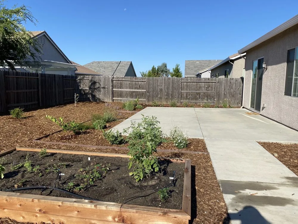 Expert lawn care service in Sacramento, CA by Martinez Landscape