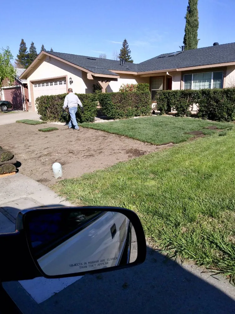 Professional outdoor landscaping in Sacramento, CA by Martinez Landscape