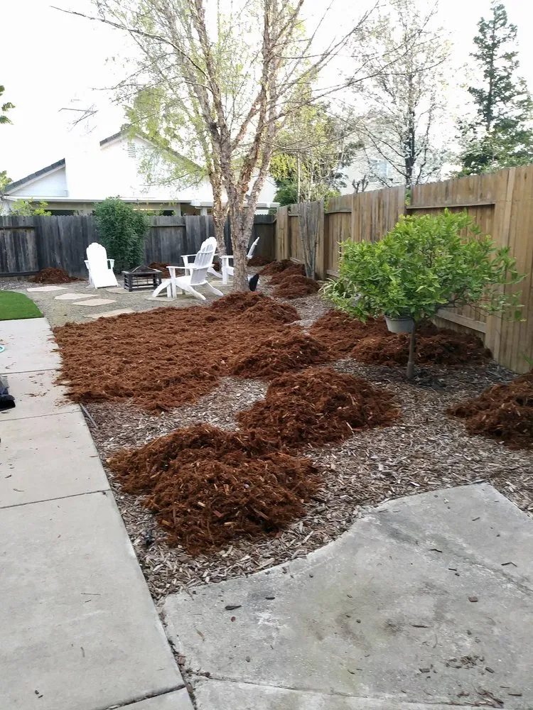 Reliable landscape design in Sacramento, CA by Martinez Landscape