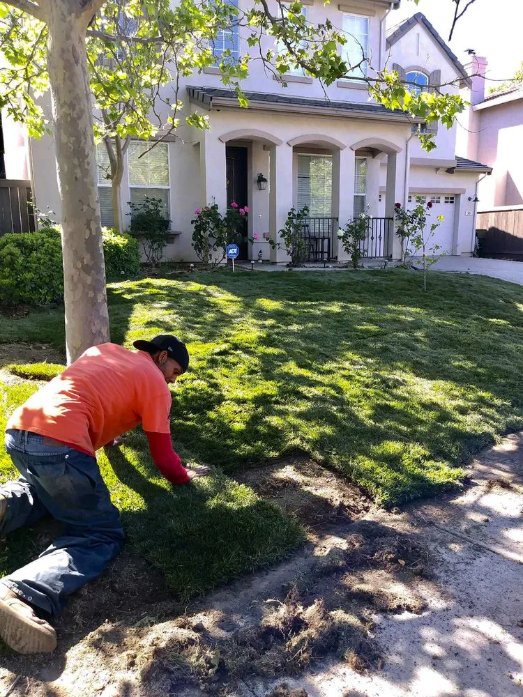 Top-rated landscape design for outdoor upgrades across Sacramento, CA - Martinez Landscape