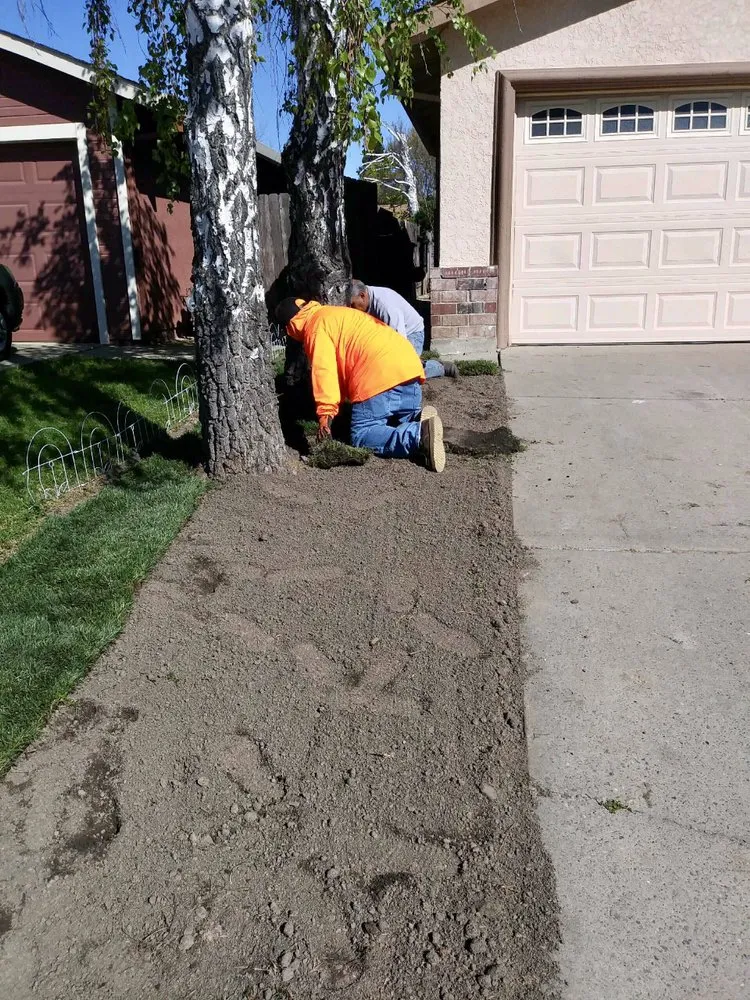 Professional landscape design experts serving Sacramento, CA - Martinez Landscape