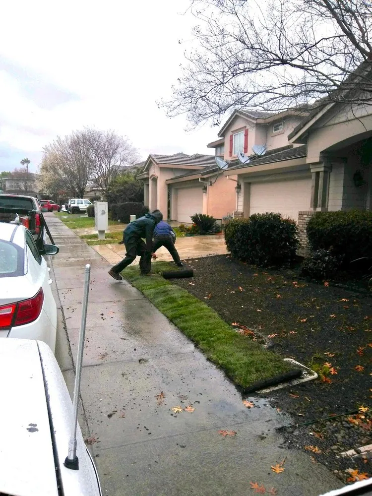 Expert residential landscaping in Sacramento, CA - Martinez Landscape