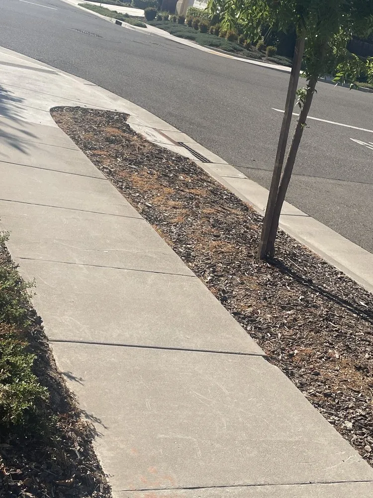 Custom landscaping services near you across Sacramento, CA - Martinez Landscape