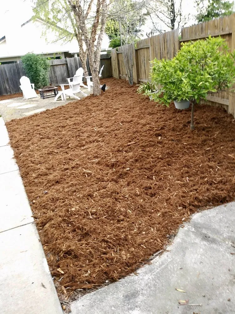 Affordable landscape design for beautiful yards across Sacramento, CA - Martinez Landscape