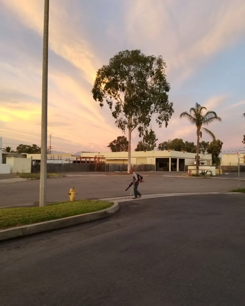 Reliable landscaping services in Brea, CA by Martinez Landscape Service