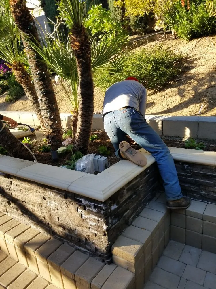 Local landscape design in Brea, CA by Martinez Landscape Service