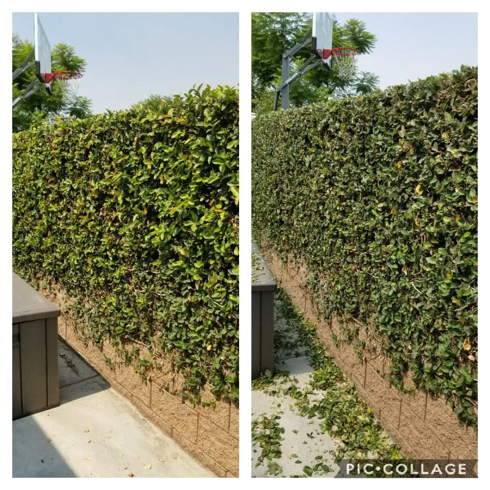 Expert garden landscaping experts serving Brea, CA - Martinez Landscape Service