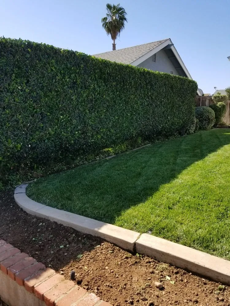 Local residential landscaping in Brea, CA - Martinez Landscape Service