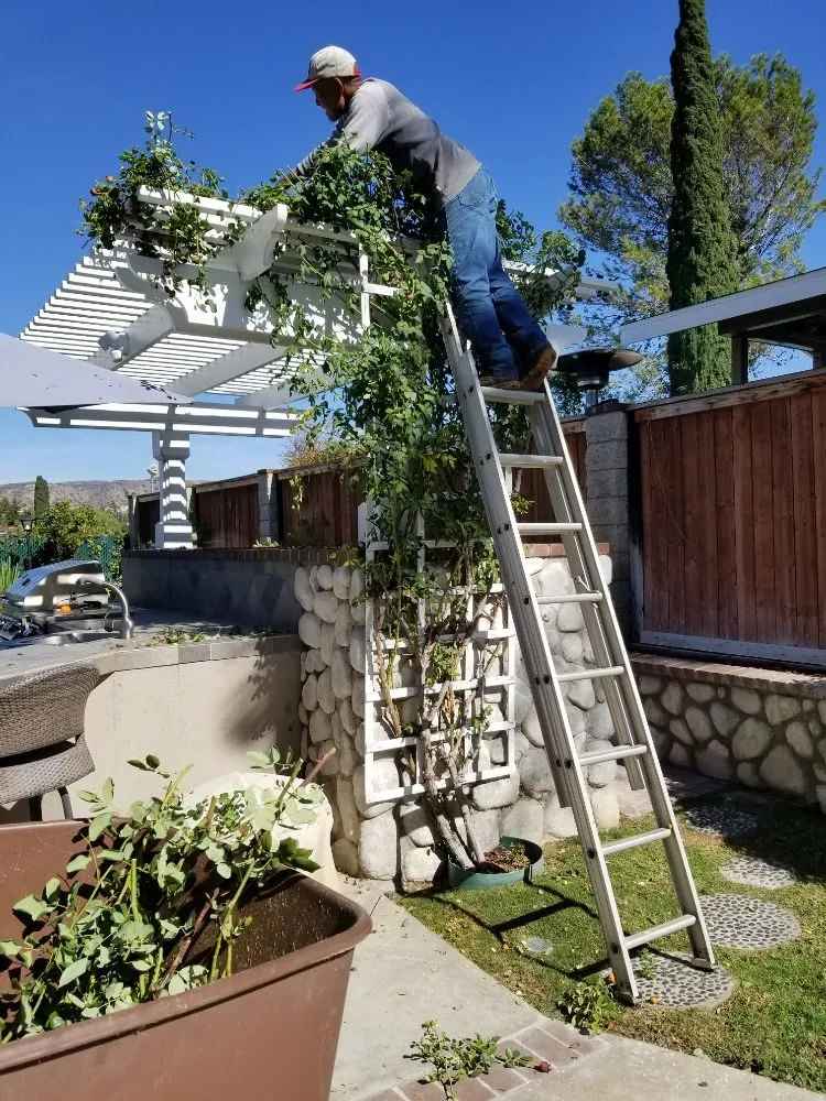 Top-rated lawn mowing service in Brea, CA - Martinez Landscape Service