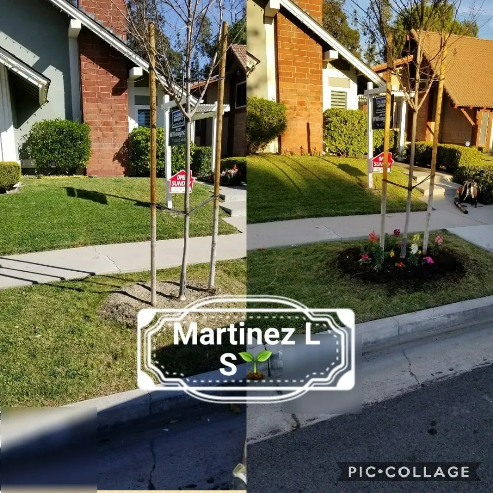 Expert landscape installation for year-round maintenance across Brea, CA - Martinez Landscape Service