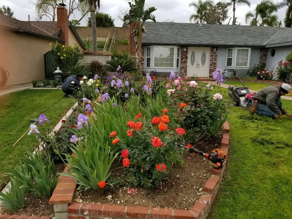 Affordable garden landscaping with custom design in Brea, CA by Martinez Landscape Service