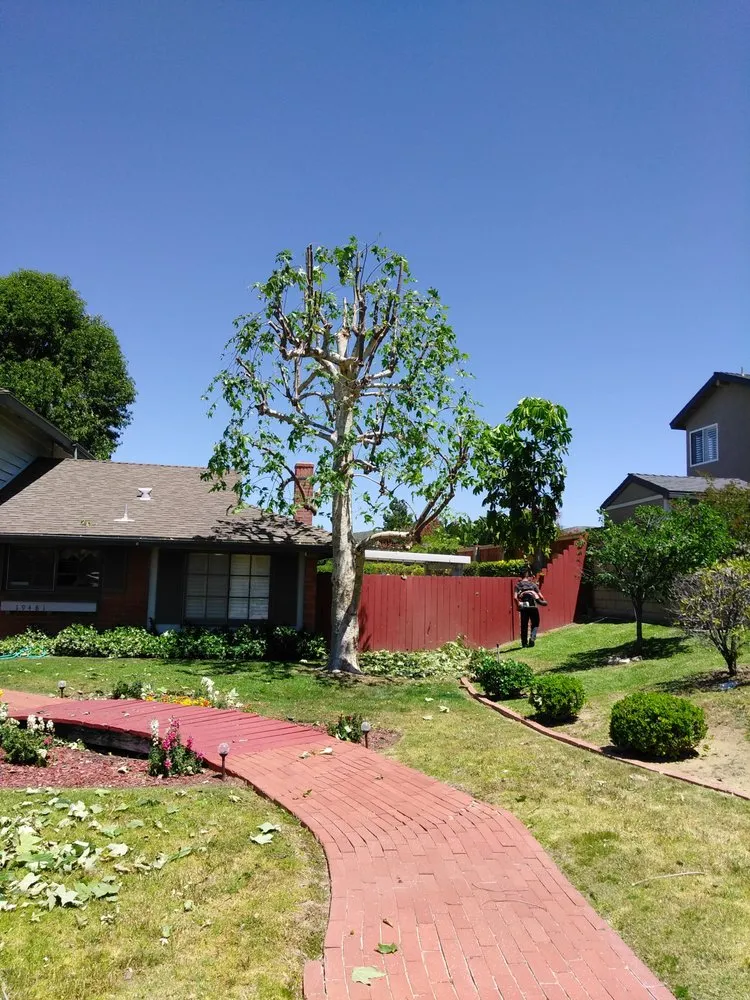 Expert lawn care service experts serving Brea, CA - Martinez Landscape Service