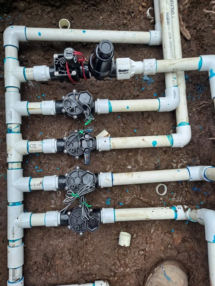 Top-rated yard maintenance for homes across Kerman, CA - Martinez landscape services