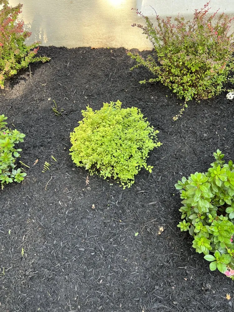 Affordable landscape installation in North Brentwood, MD - Martinez Landscape Services