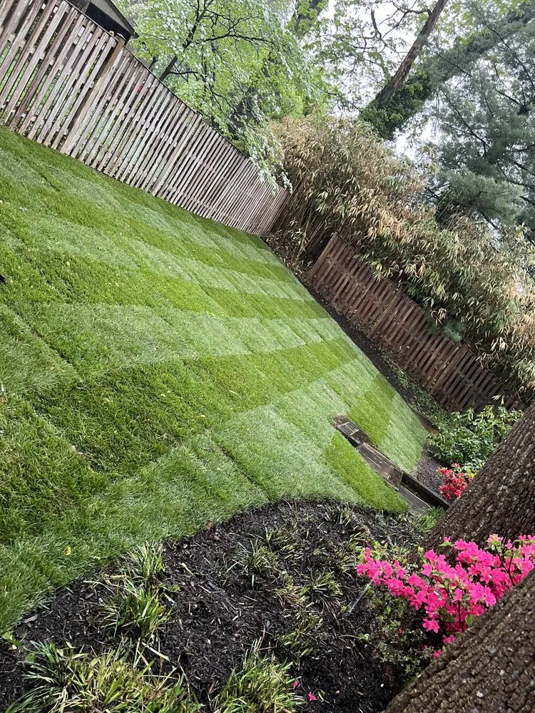 Affordable landscape installation near you in North Brentwood, MD by Martinez Landscape Services