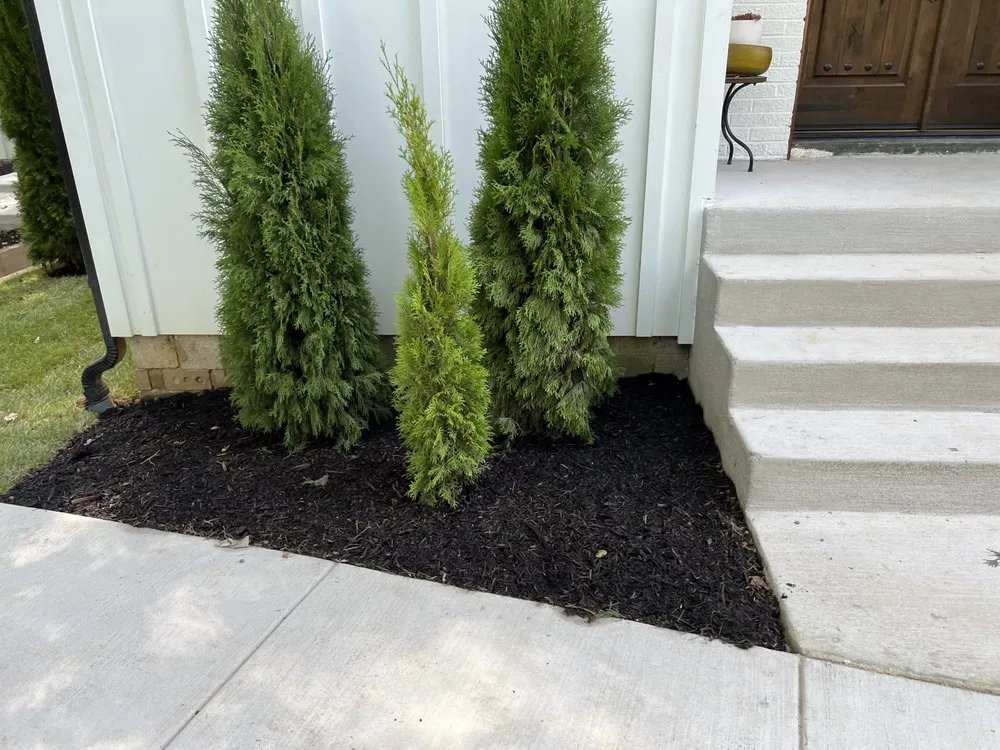 Top-rated landscape design near you in North Brentwood, MD by Martinez Landscape Services