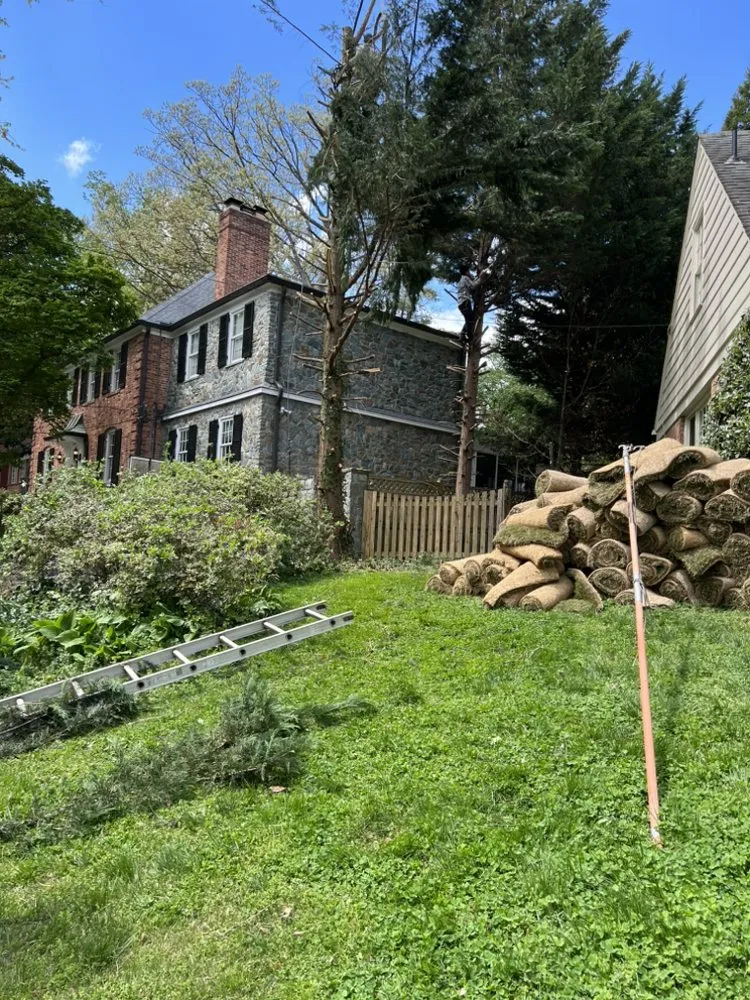 Reliable yard maintenance in North Brentwood, MD by Martinez Landscape Services