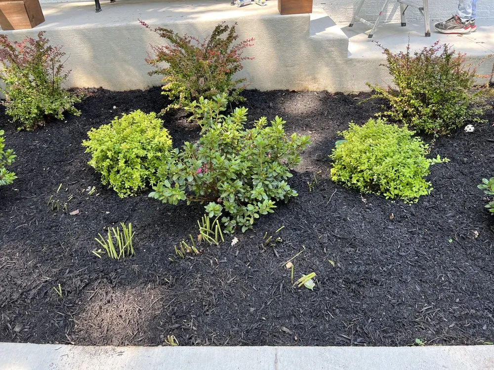Reliable landscaping services with custom design in North Brentwood, MD by Martinez Landscape Services