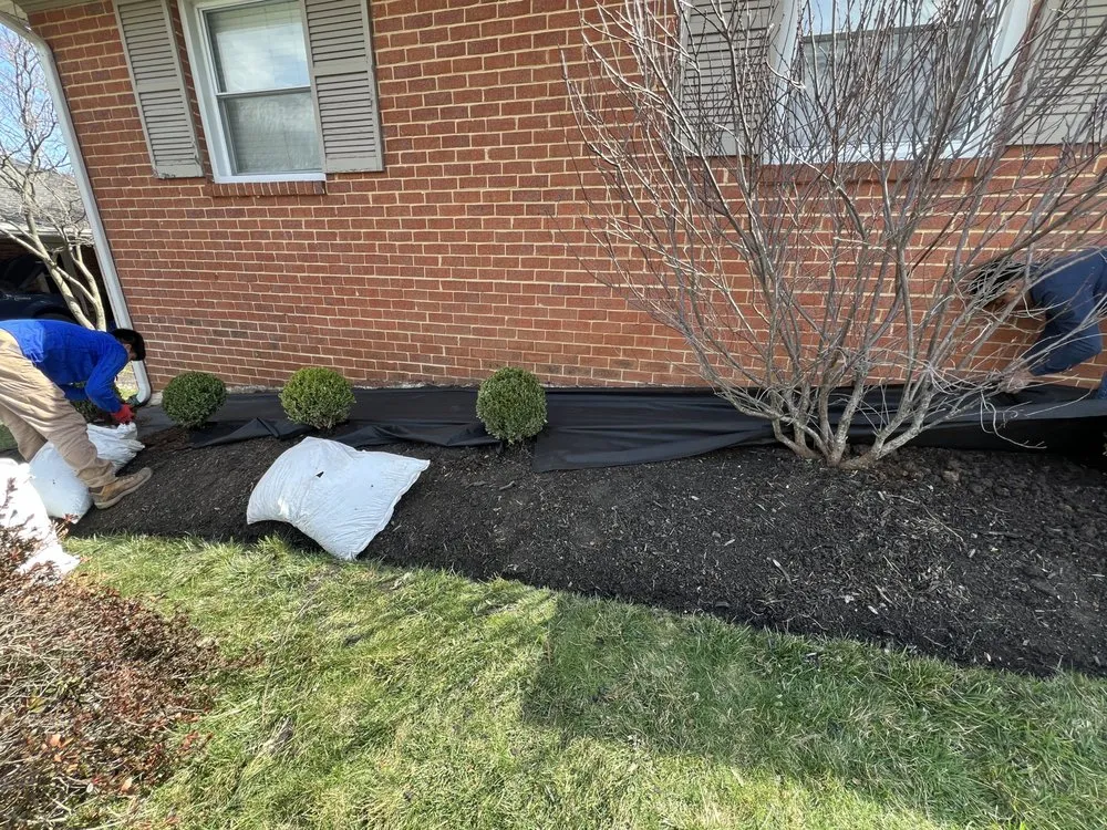 Top-rated residential landscaping near you in North Brentwood, MD by Martinez Landscape Services