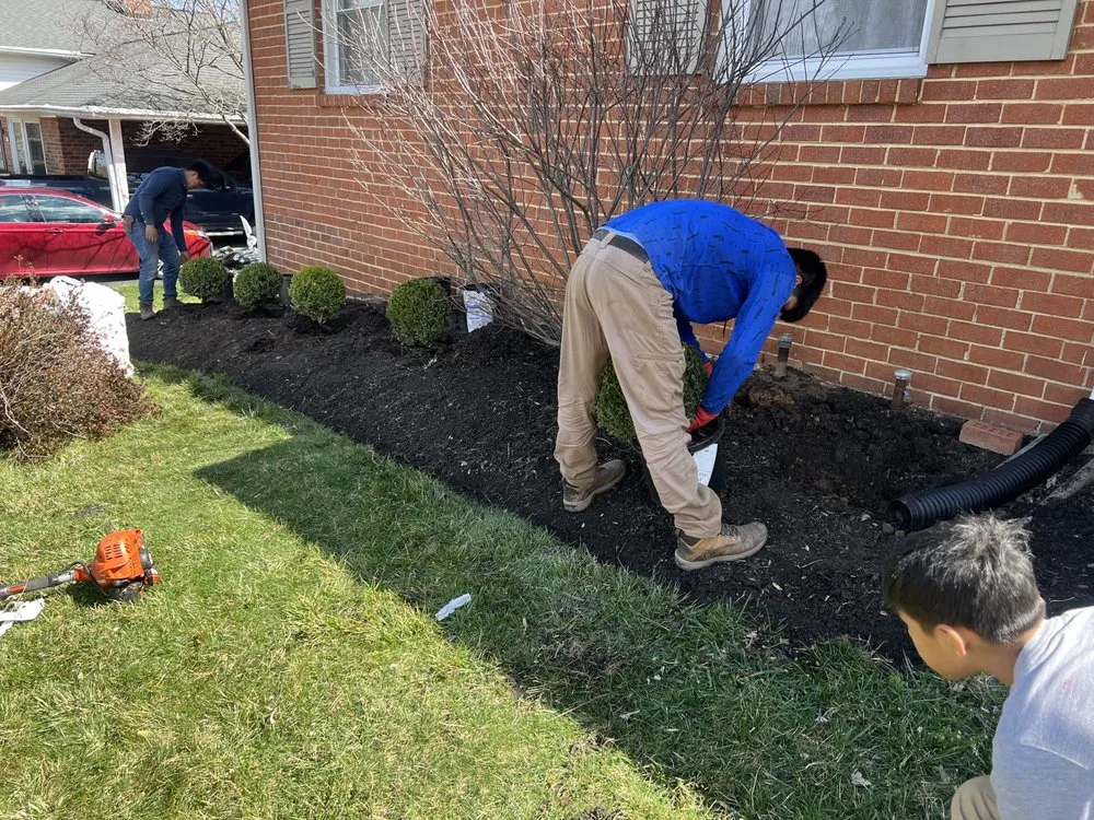Reliable yard maintenance in North Brentwood, MD - Martinez Landscape Services