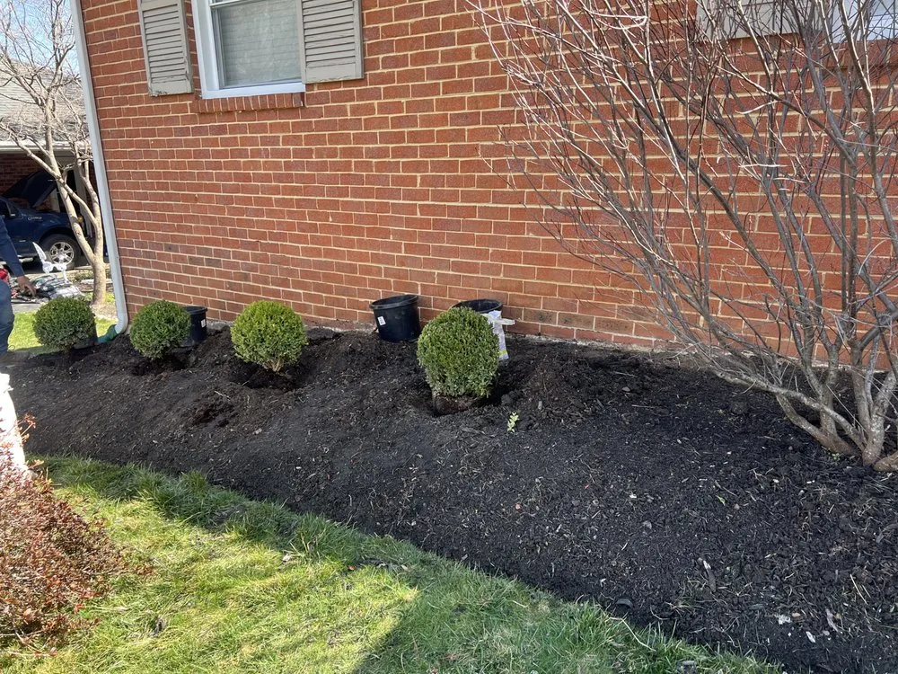 Affordable yard cleanup service for homes in North Brentwood, MD by Martinez Landscape Services