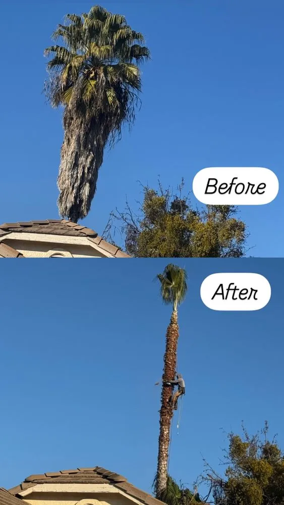 Top-rated lawn mowing service in Turlock, CA by Martinez Landscape