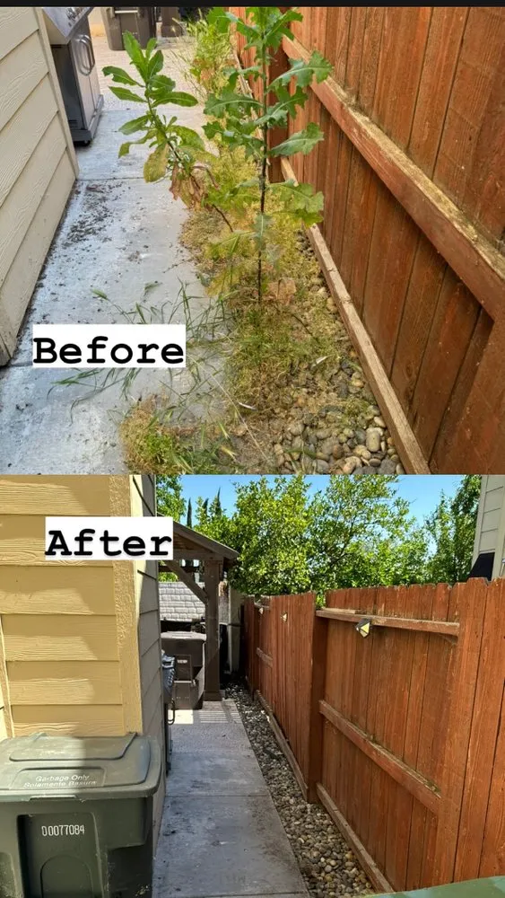 Reliable lawn care service for beautiful yards across Turlock, CA - Martinez Landscape