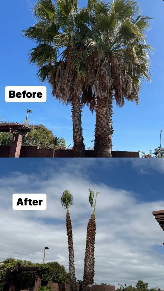 Custom garden landscaping for outdoor upgrades in Turlock, CA by Martinez Landscape