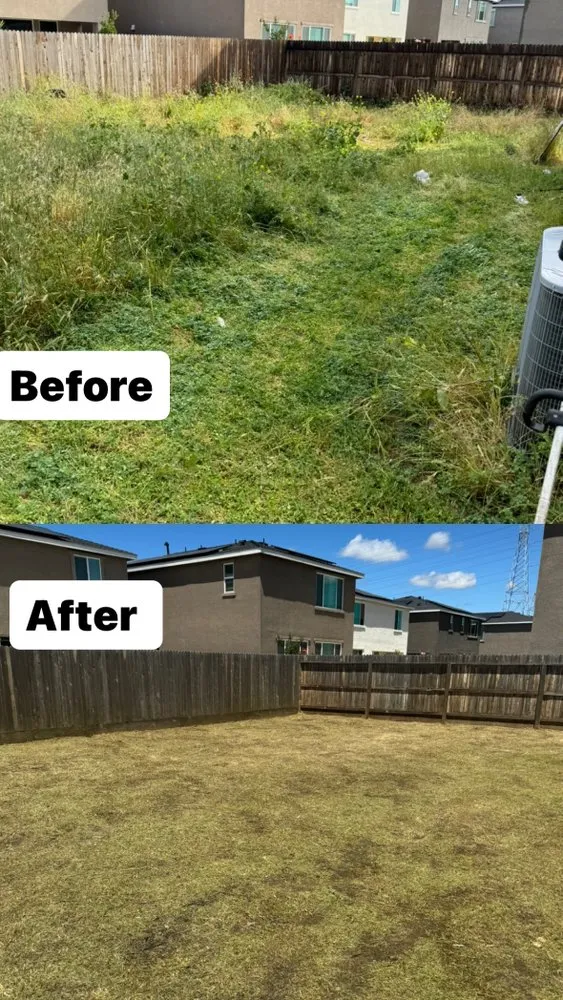 Local garden landscaping for homes in Turlock, CA by Martinez Landscape