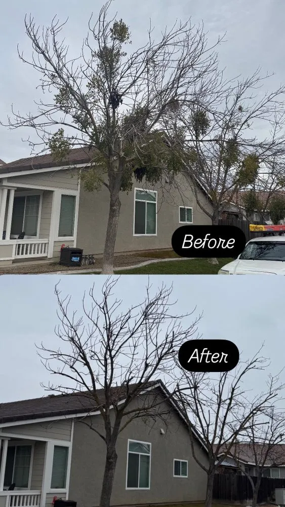 Reliable garden landscaping in Turlock, CA by Martinez Landscape