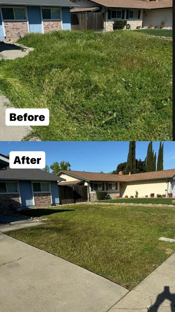 Top-rated lawn mowing service in Turlock, CA - Martinez Landscape
