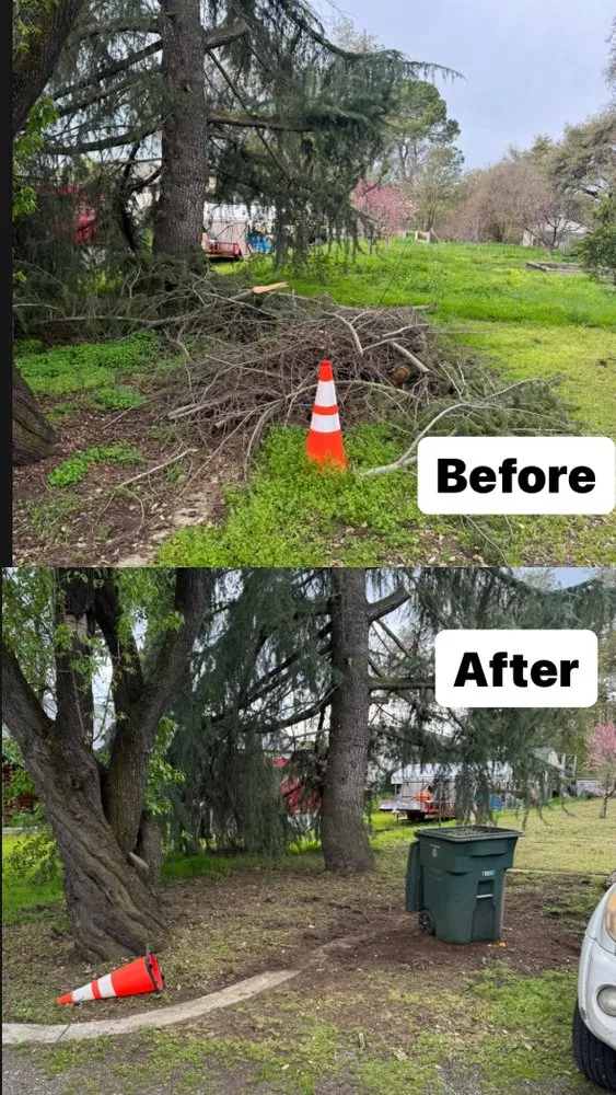 Affordable landscape design in Turlock, CA - Martinez Landscape