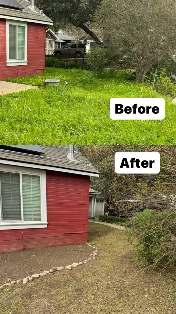 Expert yard cleanup service in Turlock, CA by Martinez Landscape