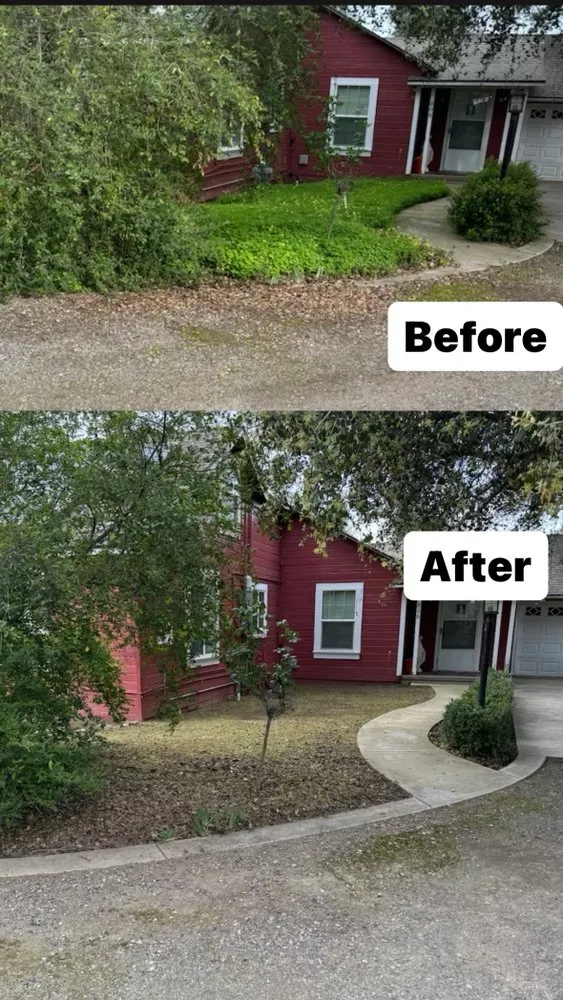 Custom yard cleanup service with custom design in Turlock, CA by Martinez Landscape