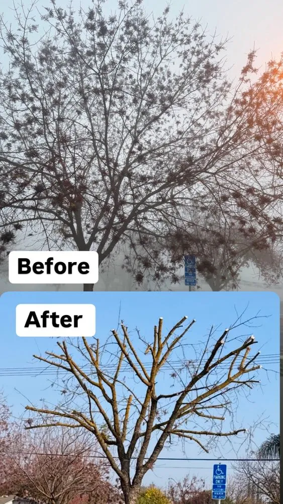 Reliable outdoor landscaping for residential properties across Turlock, CA - Martinez Landscape