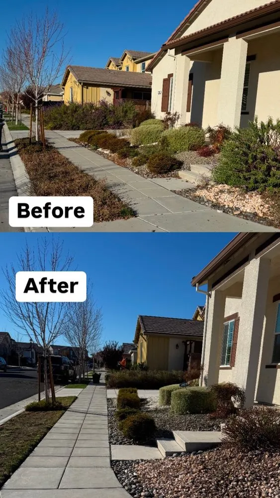Local landscape installation for homes in Turlock, CA by Martinez Landscape