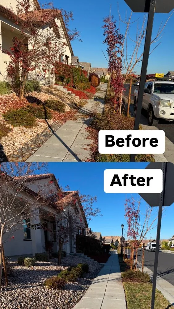 Top-rated lawn care service in Turlock, CA - Martinez Landscape