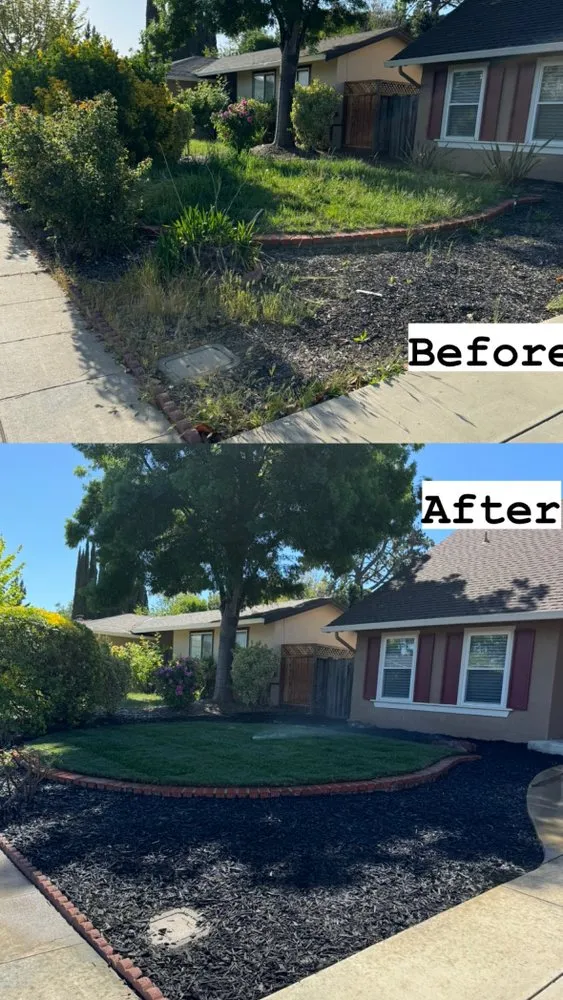 Reliable yard maintenance experts serving Turlock, CA - Martinez Landscape