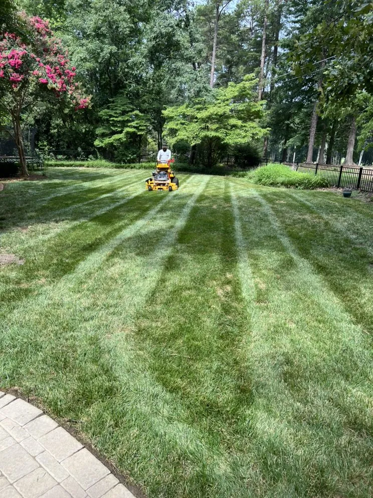 Affordable yard maintenance in Burlington, NC by Martinez Landscapes