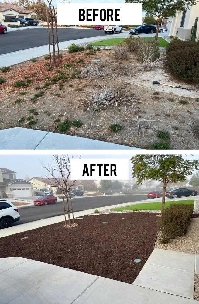 Affordable yard maintenance for outdoor upgrades across Hemet, CA - Martinez Landscapes