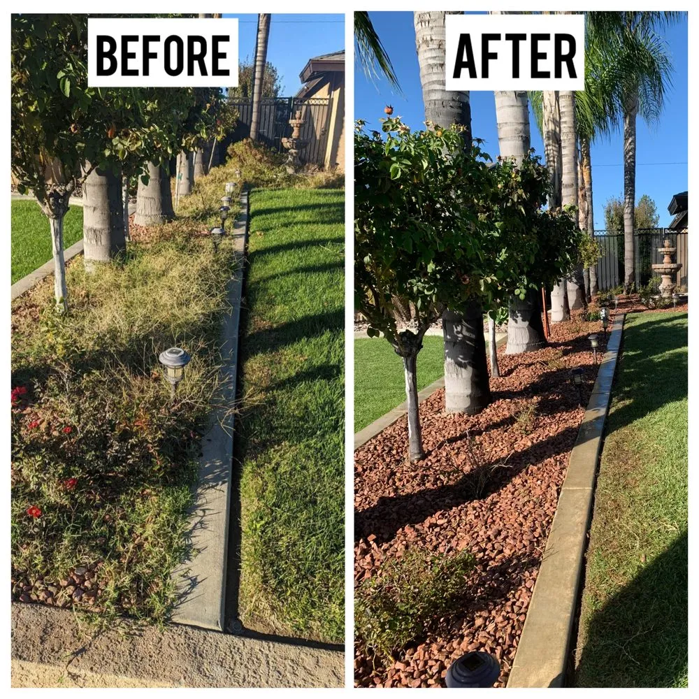 Top-rated landscape design experts serving Hemet, CA - Martinez Landscapes