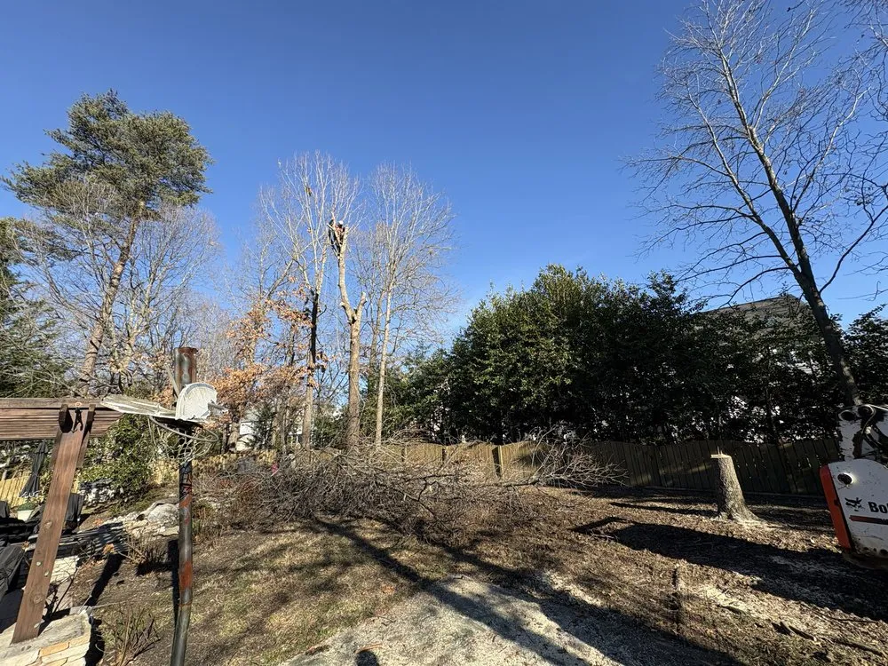 Custom yard cleanup service for year-round maintenance across Partlow, VA - Martinez Landscaping & Concrete