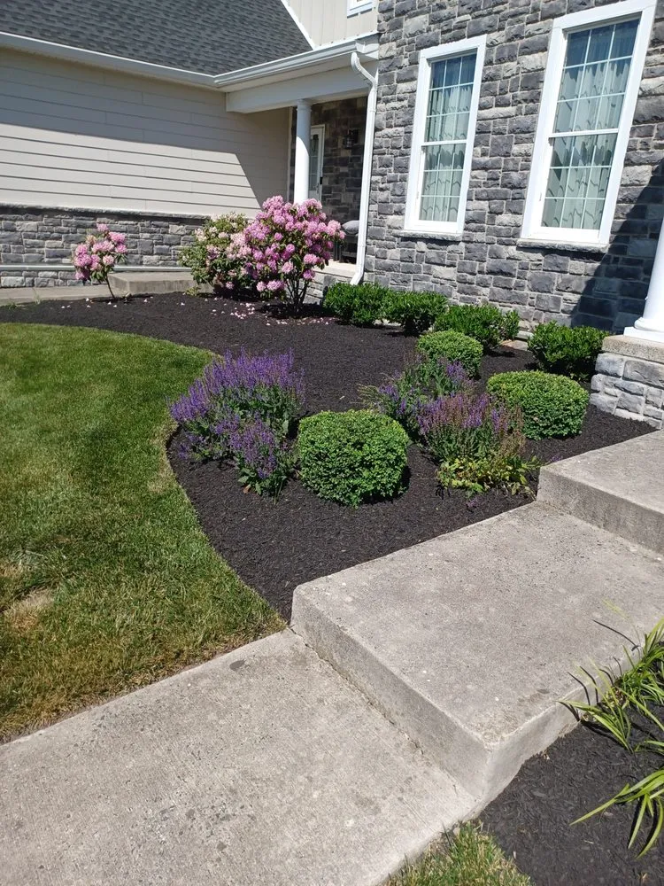 Professional yard cleanup service for beautiful yards in Norristown, PA by Martinez Landscaping & Hardscaping