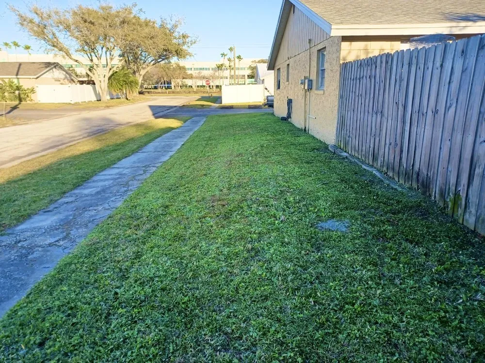 Custom garden landscaping in Tampa Bay, FL - Martinez Landscaping & Lawn Care Services