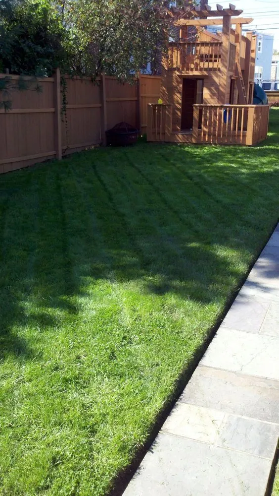 Reliable lawn care service in Tampa Bay, FL - Martinez Landscaping & Lawn Care Services