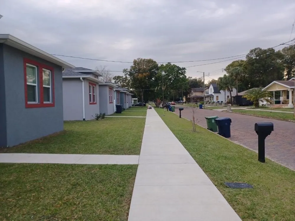 Reliable yard cleanup service in Tampa Bay, FL by Martinez Landscaping & Lawn Care Services